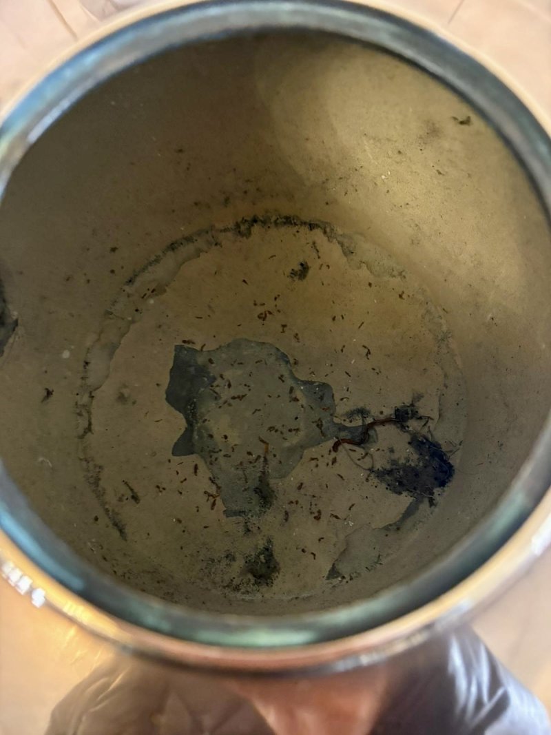 Antique George III Quality Copper Kettle